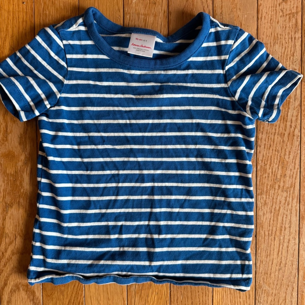 Hanna Andersson Blue and White Striped Tee